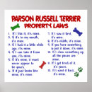 Recherche de parson russell terrier Mignon