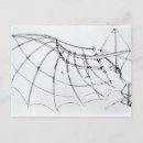 Recherche de diagramme cartes postales Scientifique