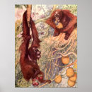 Recherche de orang outan posters Primates