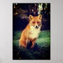 Recherche de renard art Créature