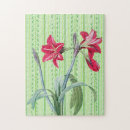 Recherche de amaryllis puzzles Fleur
