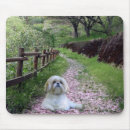 Recherche de chien pourpre tapis souris Chiot