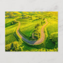 Recherche de vignoble cartes postales Méditerranéen
