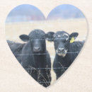 Recherche de vaches dessous de verres Élevage