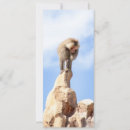Recherche de zoo 10x23 invitations Singe