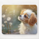 Recherche de cavalier king charles tapis souris Adorable