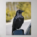 Recherche de le corbeau art Noir