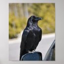 Recherche de le corbeau art Corneille