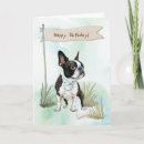 Recherche de terrier boston anniversaire cartes Canine