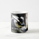 Recherche de lemur tasses Faune