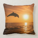 Recherche de dauphin de bottlenose Animaux