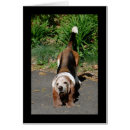 Recherche de tai chi Harmonie