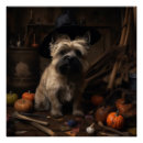 Recherche de terrier cairn posters Chien