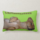 Recherche de célibataire coussins Conception