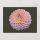 Recherche de vacances événement cartes postales Fleurs