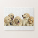 Recherche de chiot labrador puzzles Bébé