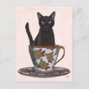 Recherche de animaux mignons cartes postales Chats noirs