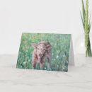 Recherche de brun toutes vœux cartes Animal