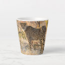 Recherche de photo guépard tasses Sauvage