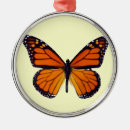 Recherche de papillon ornements Orange