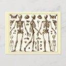 Recherche de illustration scientifique cartes postales Dessin