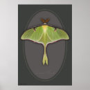 Recherche de mite art Insectes