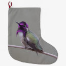 Recherche de colibri chaussette de noël Pour tous