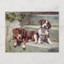 Recherche de chien vintage cartes postales Vieux