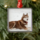 Recherche de siberian husky ornements Snow dog