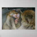 Recherche de fée de dent posters Dentiste