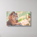 Recherche de lionne art Roi de la jungle