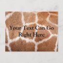Recherche de petite girafe cartes postales Sauvage