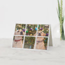Recherche de neige jaune vœux cartes Animal