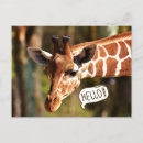 Recherche de tête de girafe posters Safari