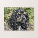 Recherche de cocker puzzles Brun