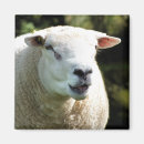 Recherche de râpe magnets Mignon