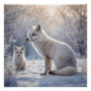 Recherche de renard arctique posters Blanc
