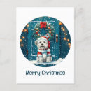 Recherche de noël de chien cartes postales Flocons de neige