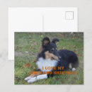 Recherche de tri cartes postales Chien