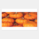 Recherche de de courge autocollants Citrouilles