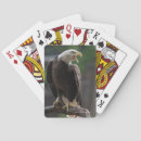 Recherche de eagle jeux de cartes Faune