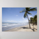 Recherche de trinité posters Tobago