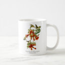 Recherche de throated Colibri rubis throated