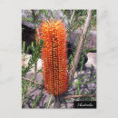 Recherche de flacon cartes postales Nature