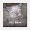 Recherche de temps de petit somme Sommeil