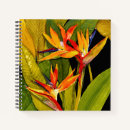Recherche de paradis carnets Oiseau de paradis