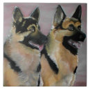 Recherche de chien de berger carreaux Tuile