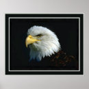 Recherche de aigle chauve art Numérique