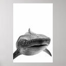 Recherche de requin baleine posters Océan