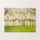 Recherche de lapin puzzles Drôle